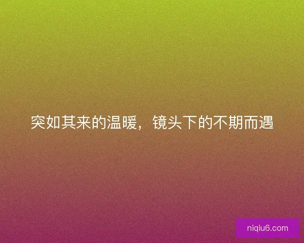 突如其来的温暖，镜头下的不期而遇