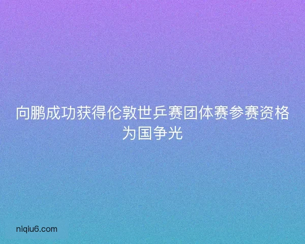 向鹏成功获得伦敦世乒赛团体赛参赛资格为国争光
